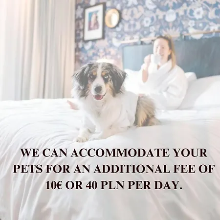 Lumina Spacious In Appartement *